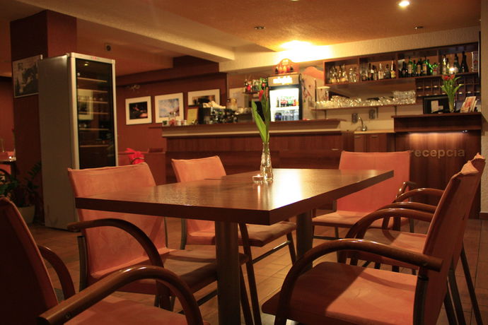 Imagen de los interiores del Hotel Premier, Trnava. Foto 15