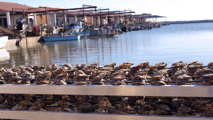 Imagen general del Hotel Premiere Classe Beziers. Foto 13