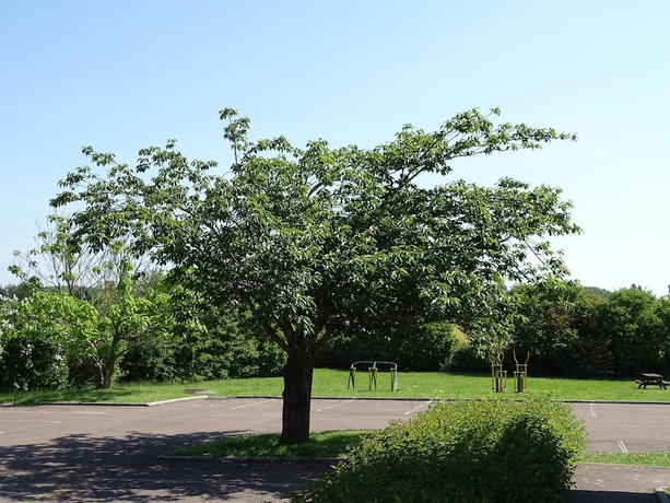 Imagen general del Hotel Premiere Classe Troyes Sud - Bucheres. Foto 7