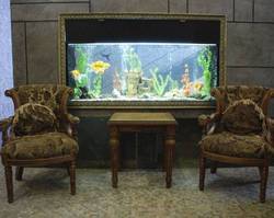 Imagen general del Hotel Premium Hotel. Foto 24