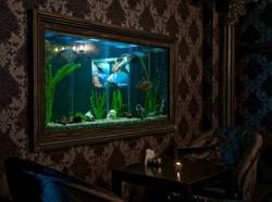 Imagen general del Hotel Premium Hotel. Foto 25