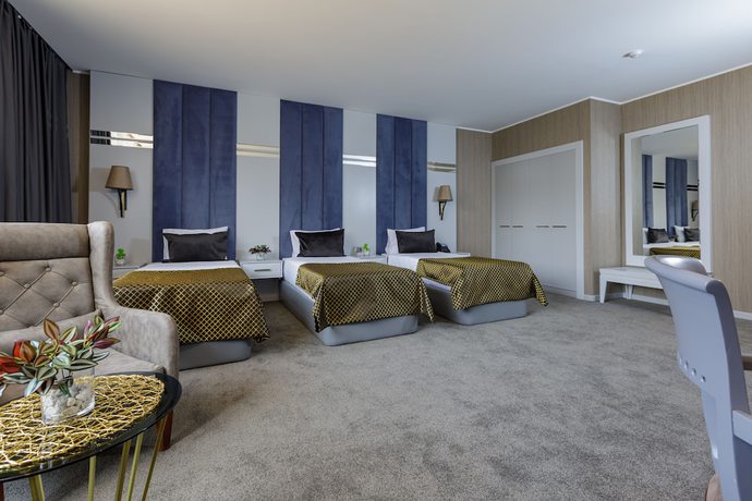 Imagen de la habitación del Hotel Premium Park. Foto 9