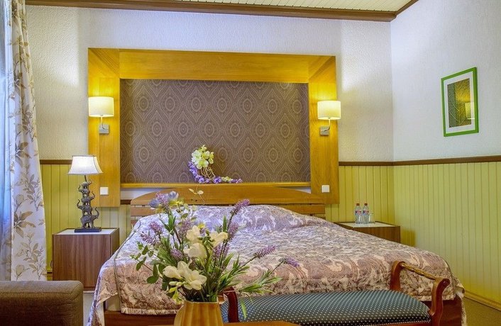 Imagen de la habitación del Hotel President, Zelenogorsk. Foto 15