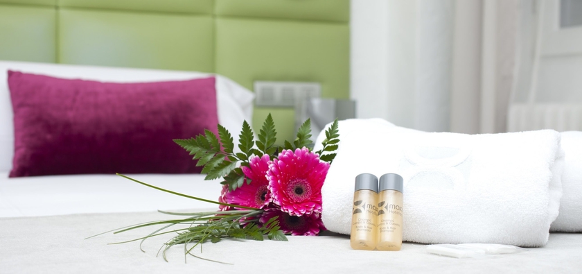 Imagen de la habitación del Hotel Presidente, Granada. Foto 5