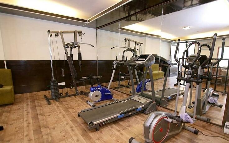 Imagen general del Hotel Pride De Vivendi Resort Manali. Foto 10