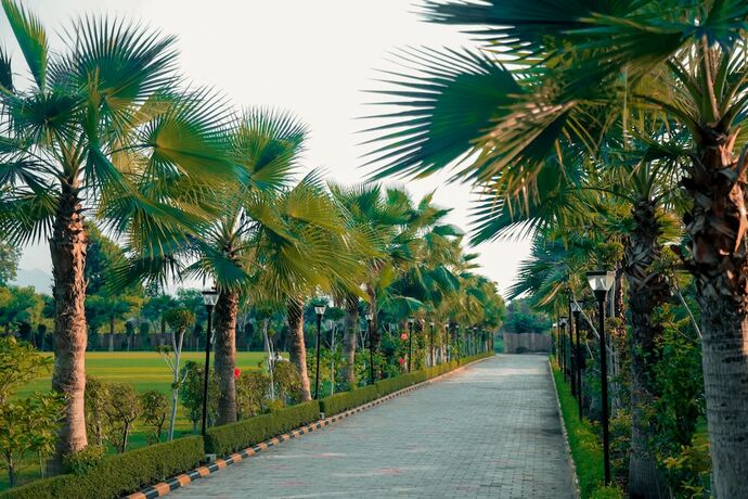 Imagen general del Hotel Pride Resort Ranakpur.. Foto 4