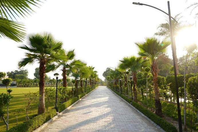 Imagen general del Hotel Pride Resort Ranakpur.. Foto 12