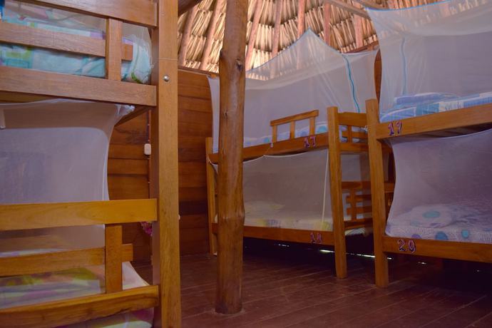 Imagen de la habitación del Hotel Primaluna Beach Hostel. Foto 4