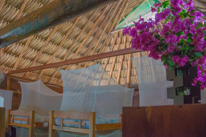 Imagen de la habitación del Hotel Primaluna Beach Hostel. Foto 13