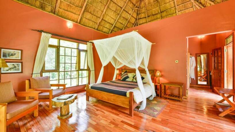Imagen de la habitación del Hotel Primate Lodge. Foto 14