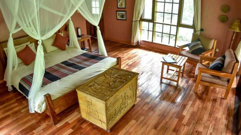 Imagen general del Hotel Primate Lodge. Foto 3