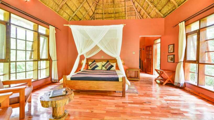 Imagen de la habitación del Hotel Primate Lodge. Foto 16