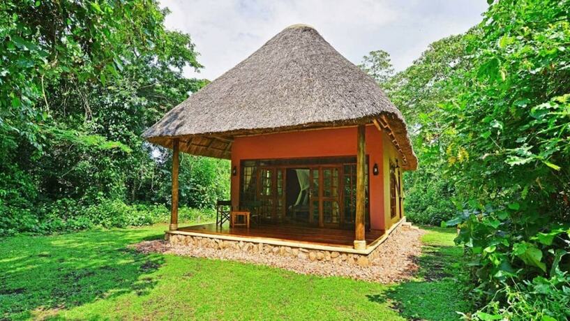 Imagen de la habitación del Hotel Primate Lodge. Foto 17