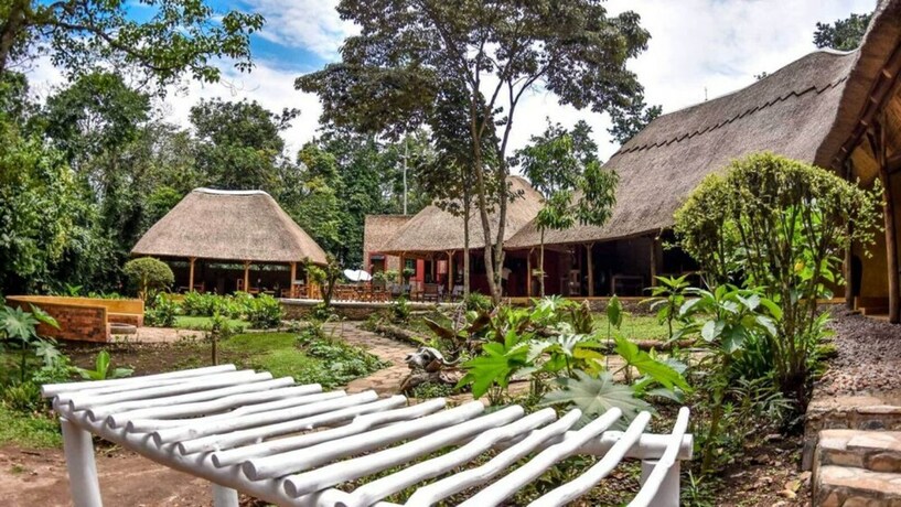 Imagen general del Hotel Primate Lodge. Foto 13