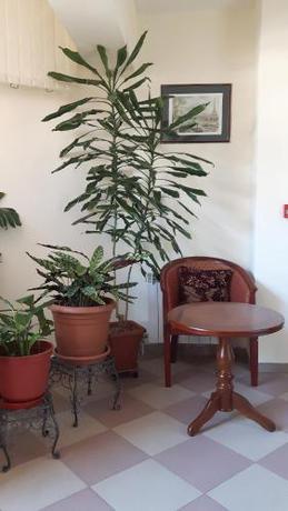 Imagen de la habitación del Hotel Primavera 2. Foto 7