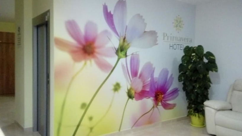 Imagen de los interiores del Hotel Primavera, Calasparra. Foto 16