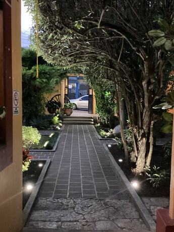 Imagen general del Hotel Primera Calle Norte Poniente. Foto 7