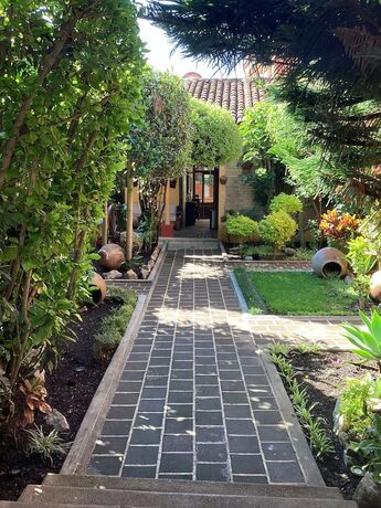 Imagen general del Hotel Primera Calle Norte Poniente. Foto 9