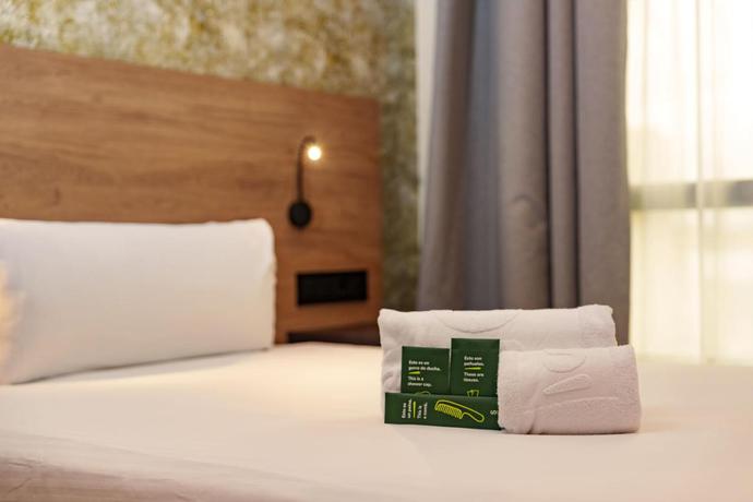 Imagen de la habitación del Hotel Princesa De Eboli. Foto 8