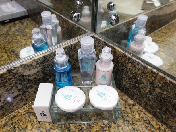 Imagen de la habitación del Hotel Princesa Louçã. Foto 6