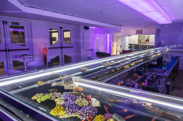 Imagen del bar/restaurante del Hotel Princesa Parc. Foto 9