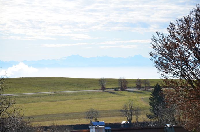 Imagen de los interiores del Hotel Princess Romantic. Foto 14