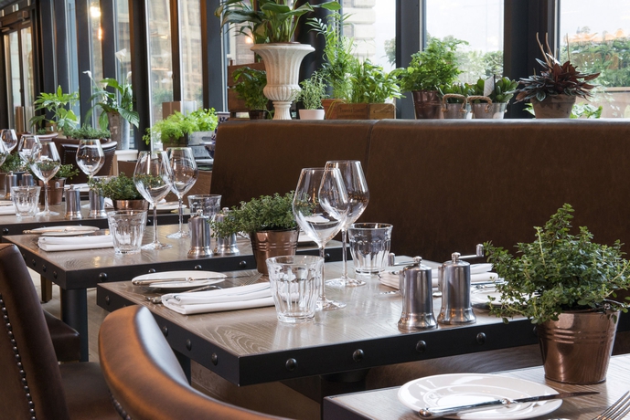 Imagen del bar/restaurante del Hotel Principal York. Foto 4