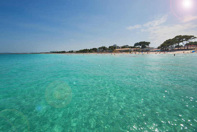 Imagen de los exteriores del Hotel Prinsotel La Dorada. Foto 14