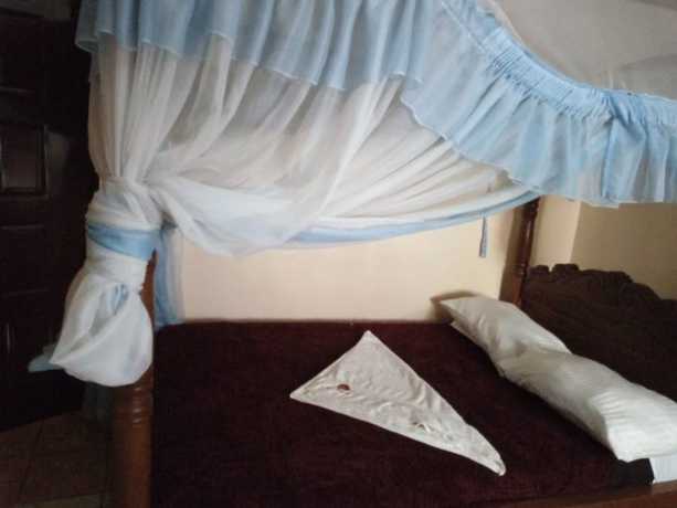 Imagen de la habitación del Hotel Pristine Paradise. Foto 5