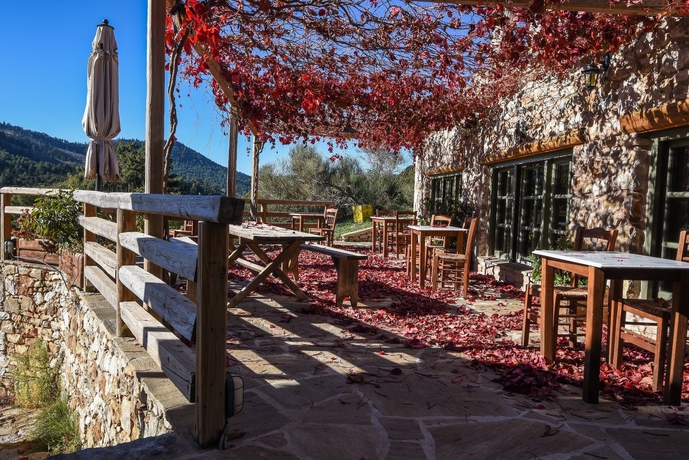 Imagen del bar/restaurante del Hotel Pritanio. Foto 15