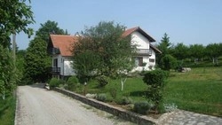 Imagen general del Hotel Private Accommodation Jandric. Foto 9