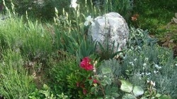 Imagen general del Hotel Private Accommodation Jandric. Foto 10