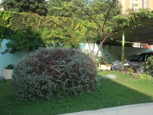 Imagen general del Hotel Private Accomodation Madunic. Foto 7