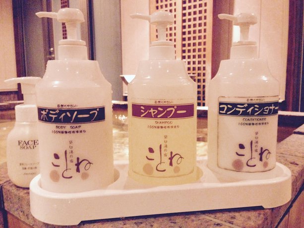 Imagen de la piscina del Hotel Private Spa Kotone. Foto 6