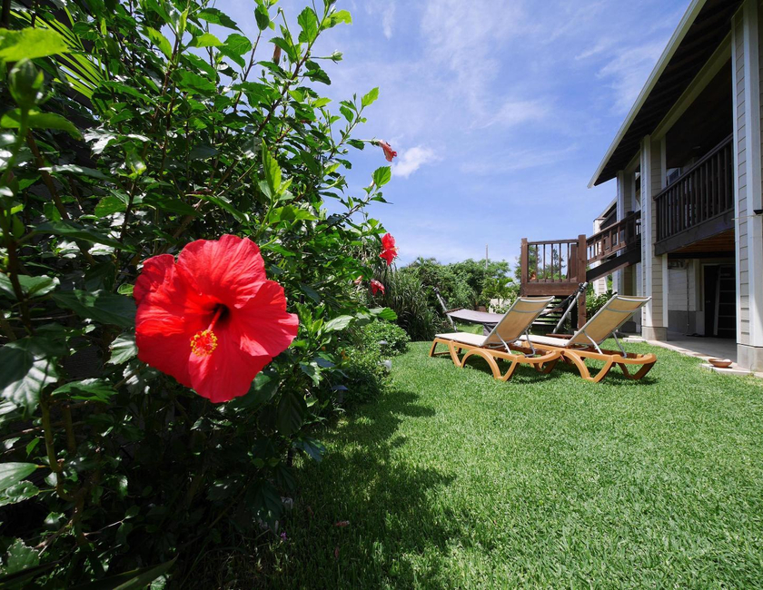 Imagen general del Hotel Private Vacation Villa Kohola. Foto 18