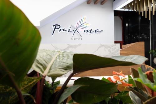 Imagen general del Hotel Prixma. Foto 8
