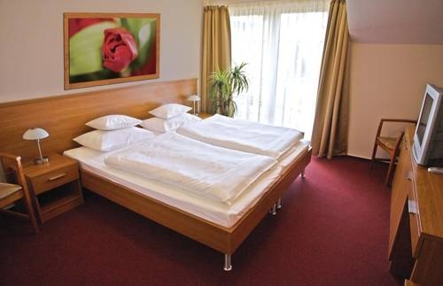 Imagen general del Hotel Promedicum Panzio. Foto 10