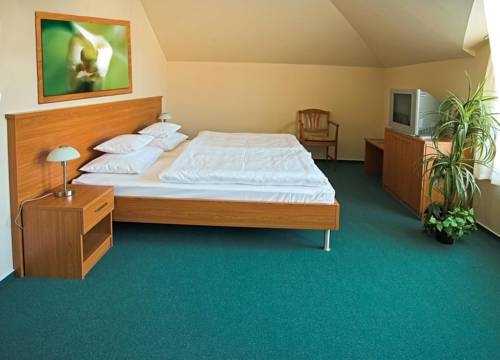 Imagen general del Hotel Promedicum Panzio. Foto 11