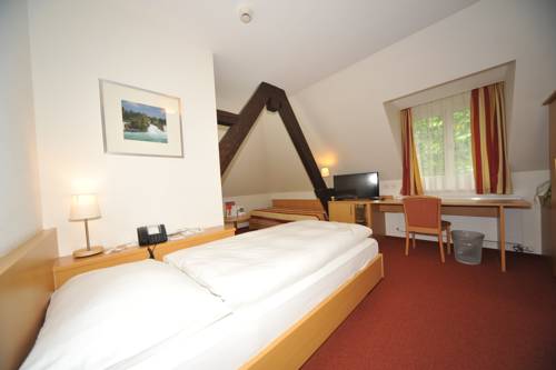 Imagen de la habitación del Hotel Promenade, SCHAFFHAUSEN. Foto 8
