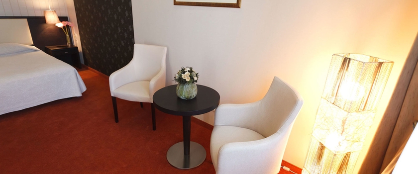 Imagen de la habitación del Hotel Prominada. Foto 9
