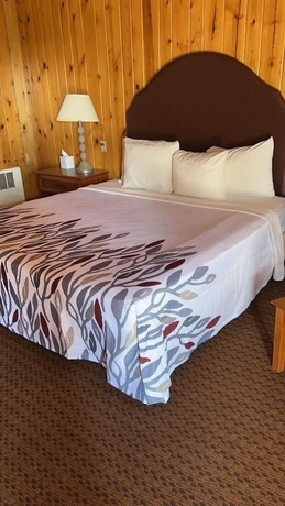 Imagen de la habitación del Hotel Prospector Motor Lodge. Foto 7