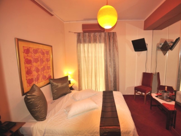 Imagen general del Hotel Proteas Athens. Foto 2