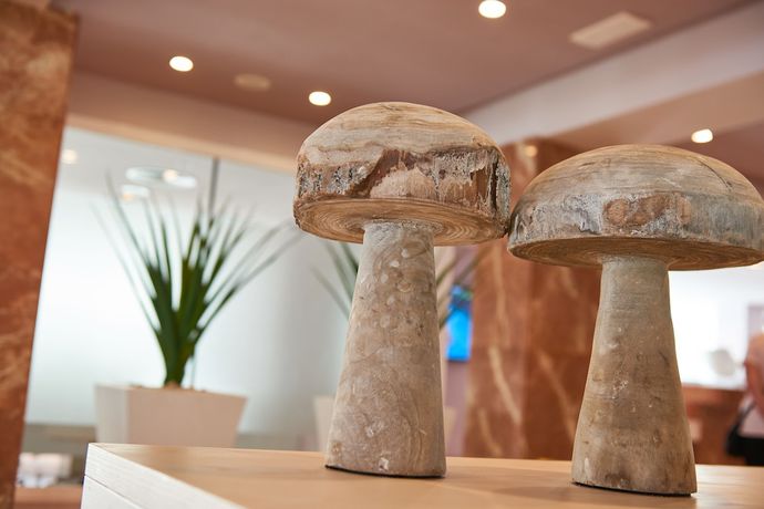 Imagen de los interiores del Hotel Protur Bonamar. Foto 10