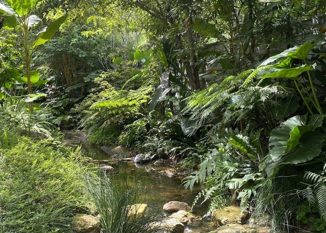 Imagen de la habitación del Hotel Proud Phu Fah Muang Chiang Mai. Foto 9