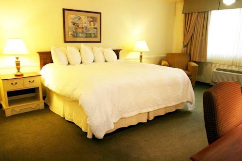 Imagen de la habitación del Hotel Provo River Inn. Foto 6
