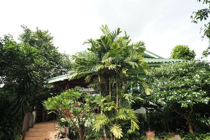 Imagen general del Hotel Pua Sabai Resort. Foto 12