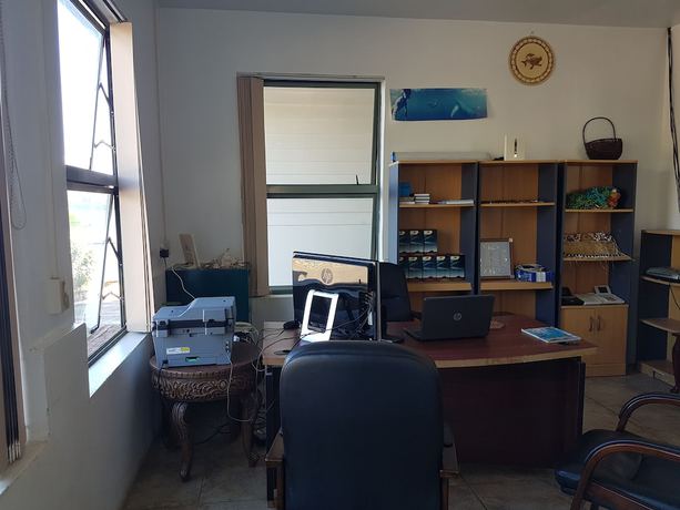 Imagen de los interiores del Hotel Puataukanave International. Foto 18