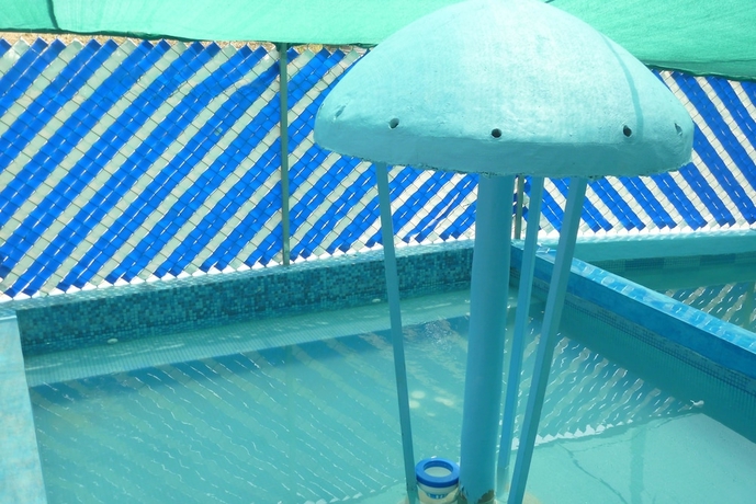Imagen de la piscina del Hotel Puente Inn. Foto 18