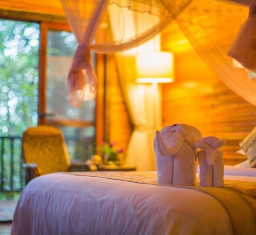 Imagen de la habitación del Hotel Puer Redpanda Manor. Foto 17