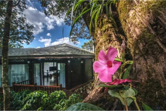 Imagen general del Hotel Puer Redpanda Manor. Foto 4